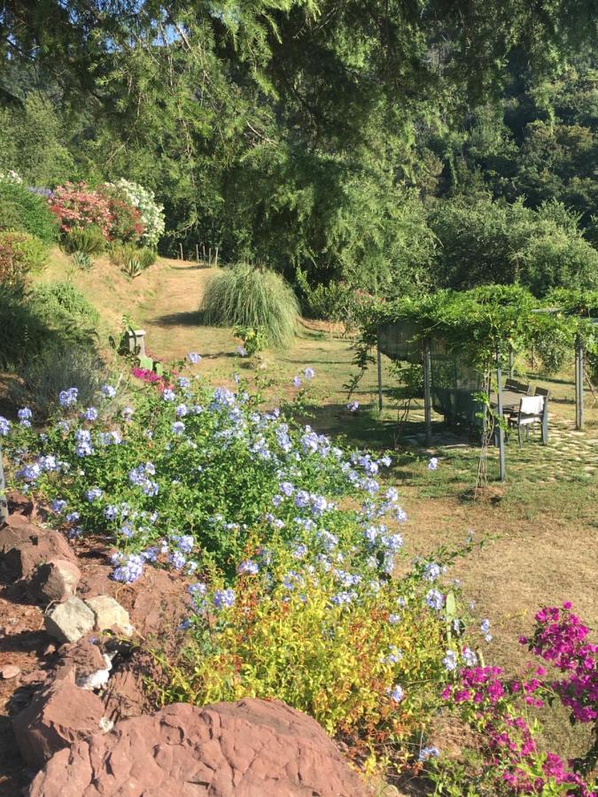 New Penthouse - Cinque Terre, Tuscany, Liguria, Lerici #4 外观 照片
